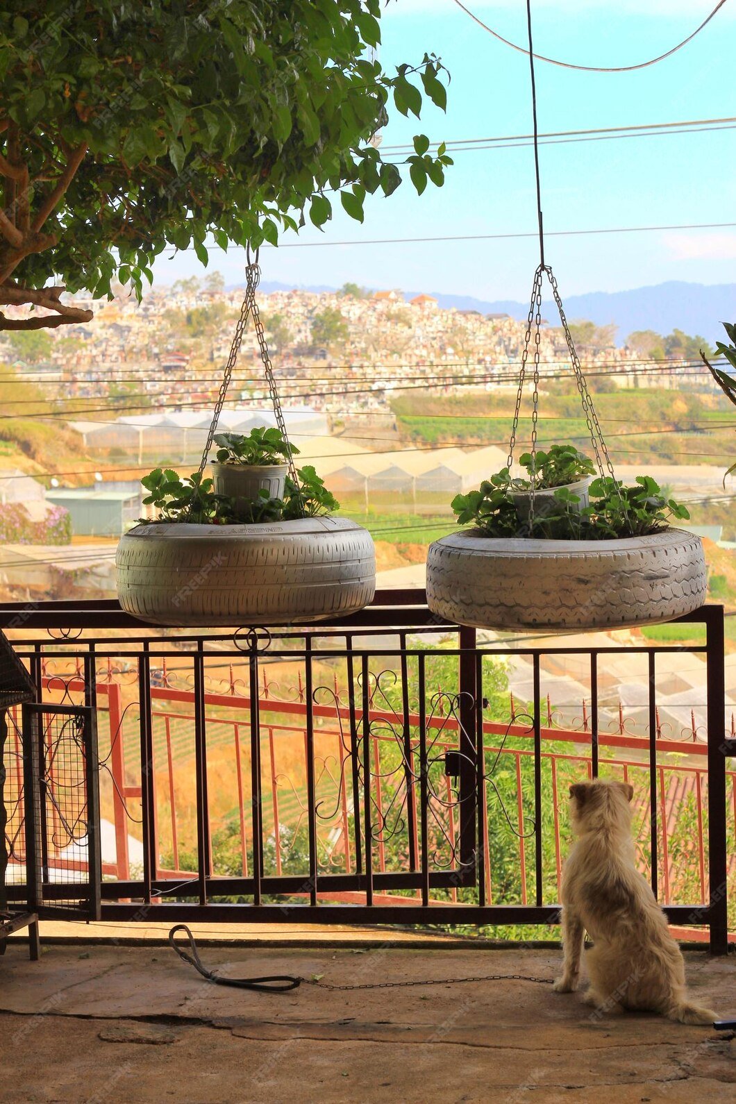 Terrace And Balcony Garden - 3