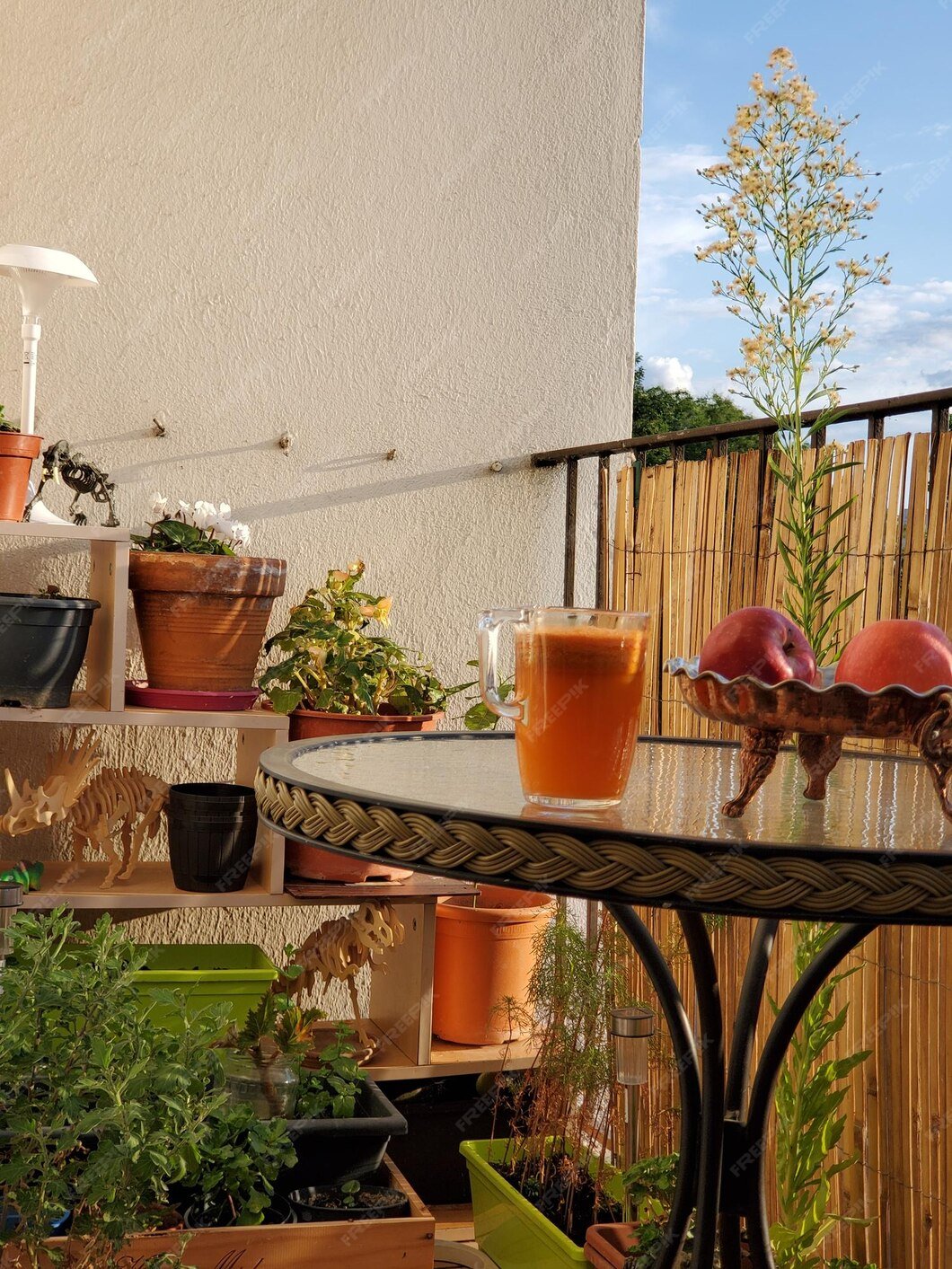 Terrace And Balcony Garden - 5