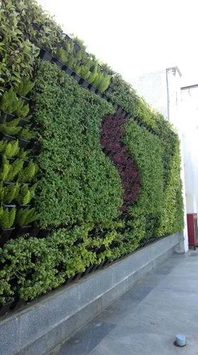 Vertical Gardens - 10