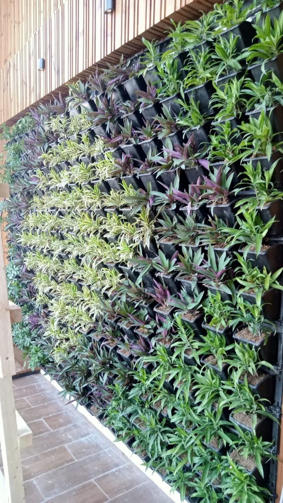 Vertical Gardens - 3