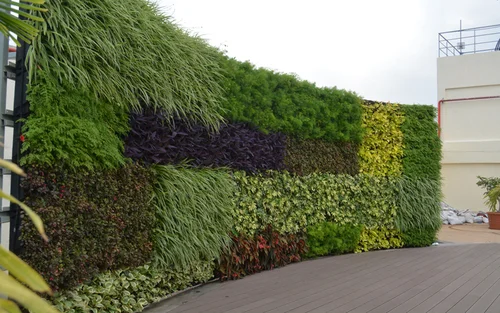 Vertical Gardens - 9
