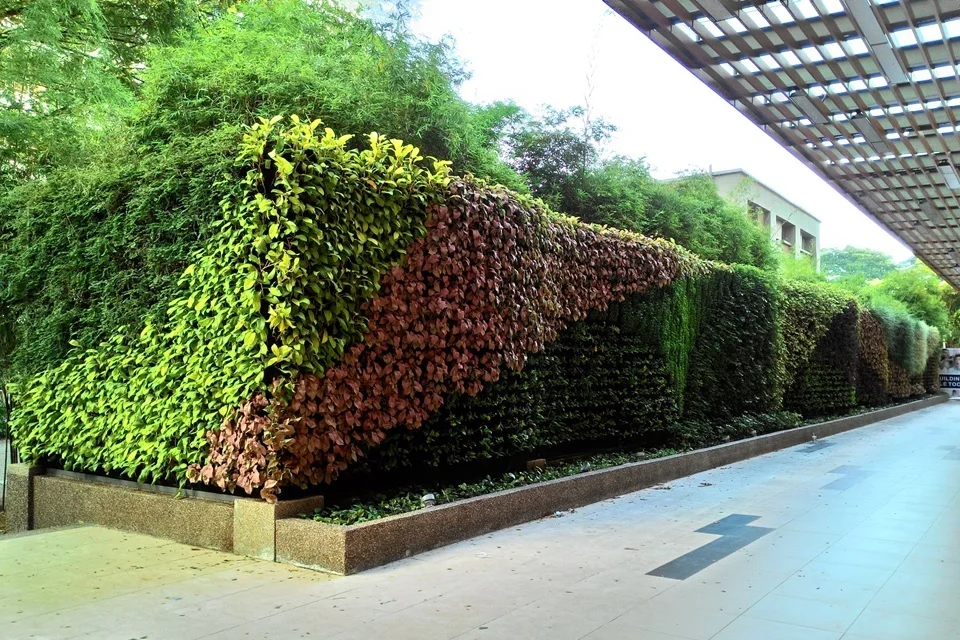 Vertical Gardens Banner